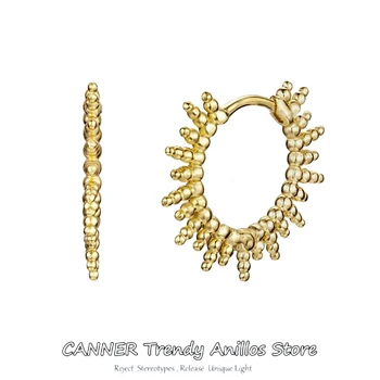Canner 100% 925 Sterling Silver Hoop Náušnice Geometrické Osobnosti Huggie Náušnice Pre Ženy, Jemné Šperky pendientes 2020 W5