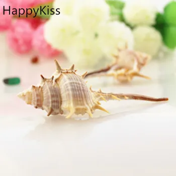 HappyKiss 10pcs/lo, 7-9 cm Prírodné Shell Voľné Korálky pre mušlí prírodných remesiel natual veľké conch strany