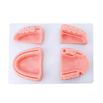 Zubné Ústne/Guma materiál na zošívanie tréningový modul silikónové periodontitis šijacie model